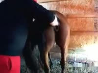 Beastiality tumblr fat fucker is fisting horse